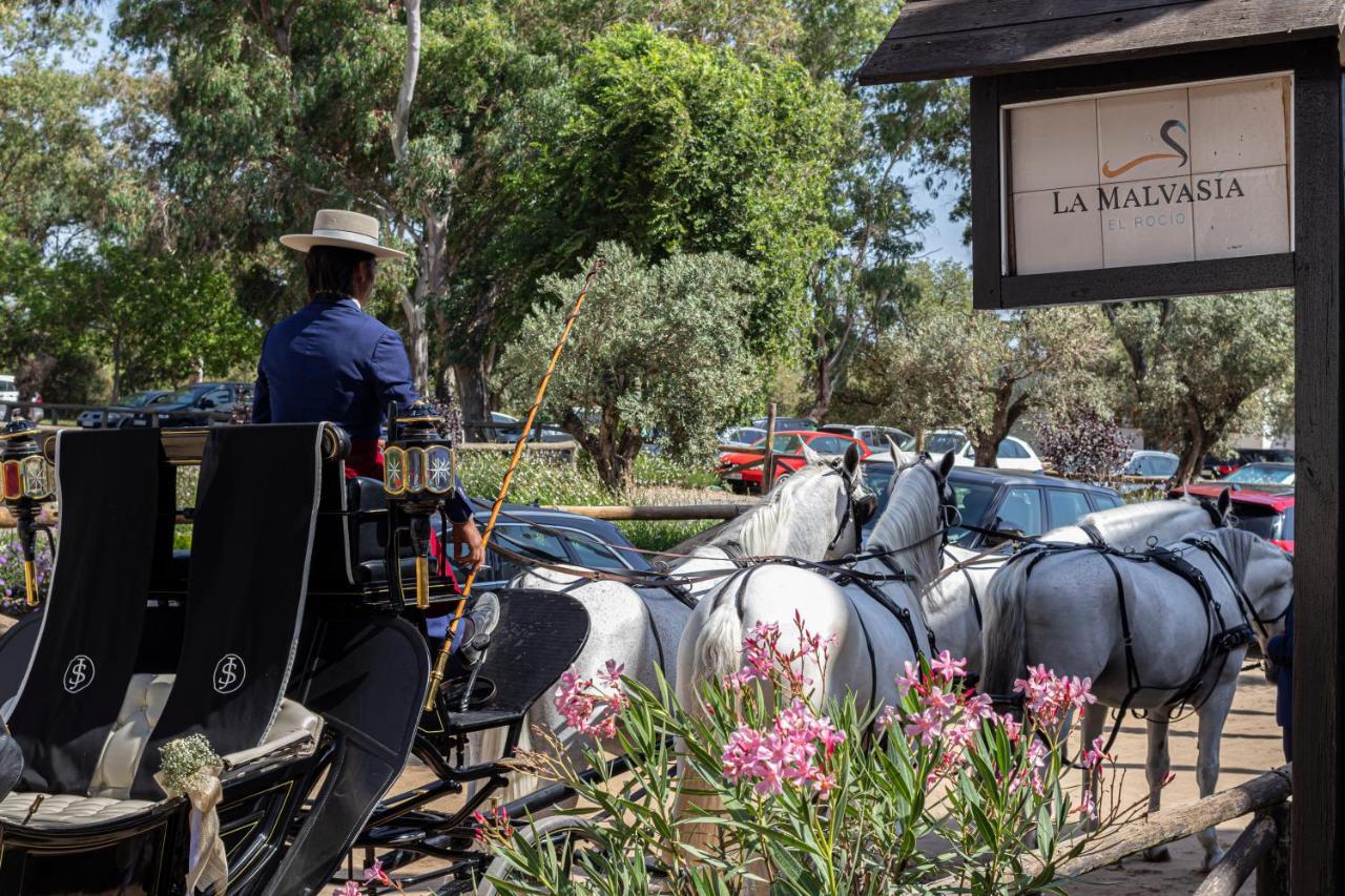 Hotel La Malvasia El Rocío Εξωτερικό φωτογραφία